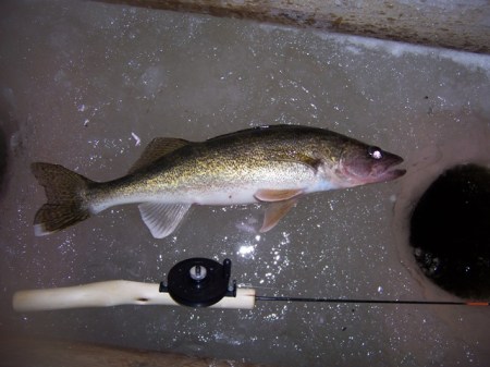 a-to-close-to-the-slot-walleye2