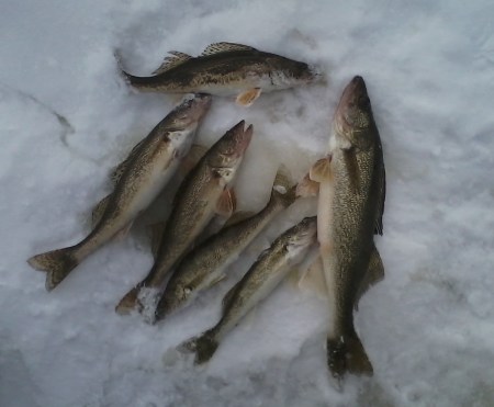 Wally's limit Christmas morning