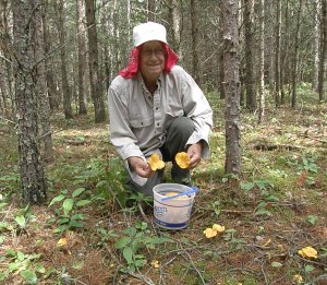 Willard with Chanterelles