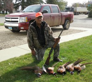 gordon-with-pheasants